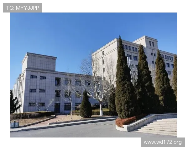 全面解析金沙国际教育咨询的优势与发展前景